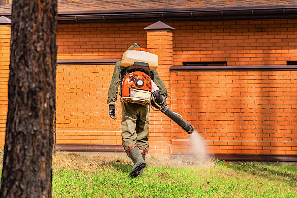 Trusted Rodent Control service in Indian Hills, CO - Nex Pest Control